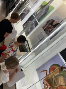 WhatsApp Image 2025-08-27 at 22.14.49(12)